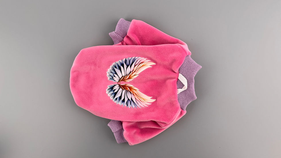 Кофта для собак Winglet