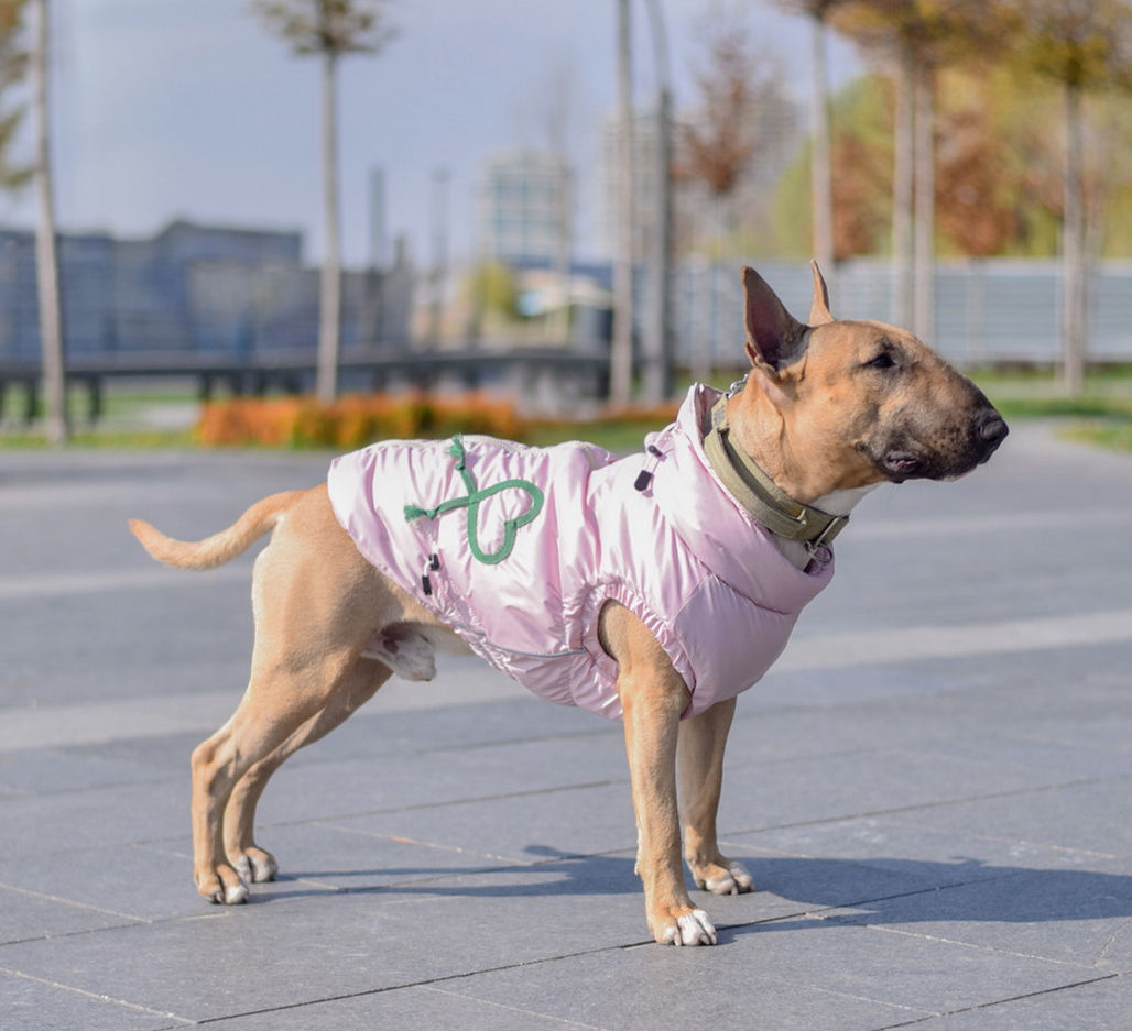 Жилет для собак Blossom