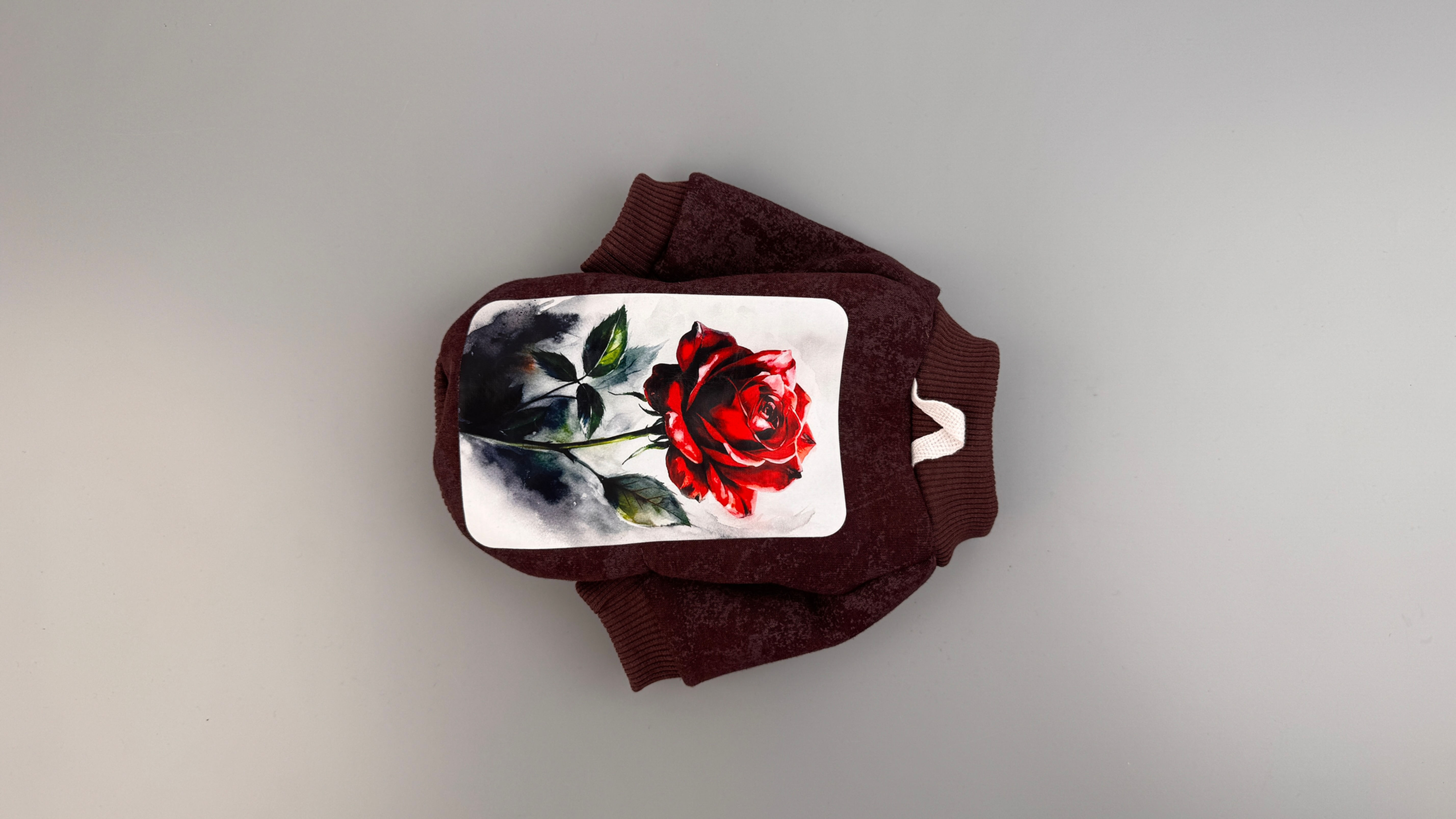 Худі для собак Rosaire