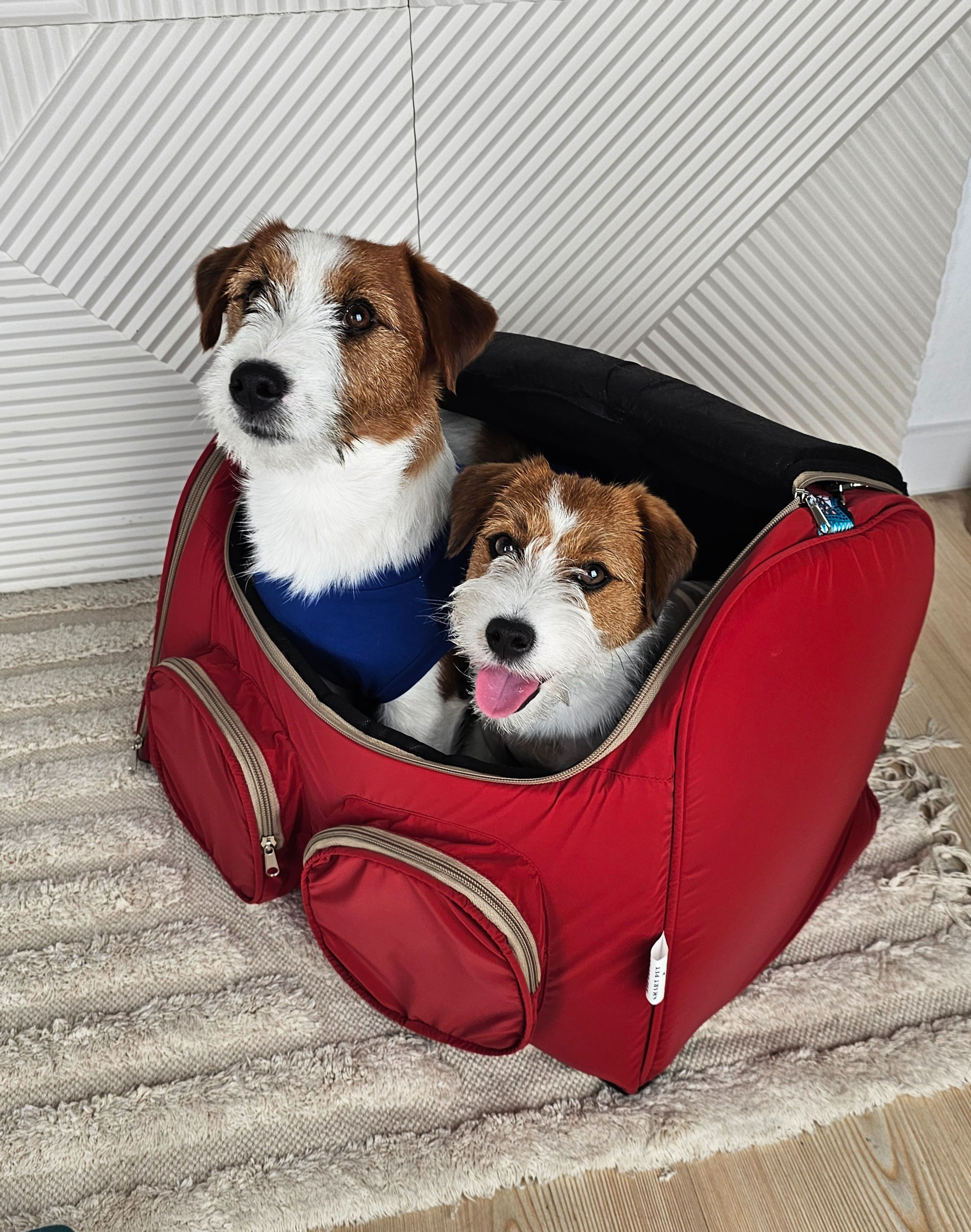 Сумка-переноска Travix