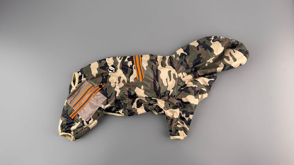 Камуфляжний дизайн