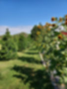 20230827_102601.jpg