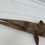 Thumbnail: Barracuda driftwood sculpture 