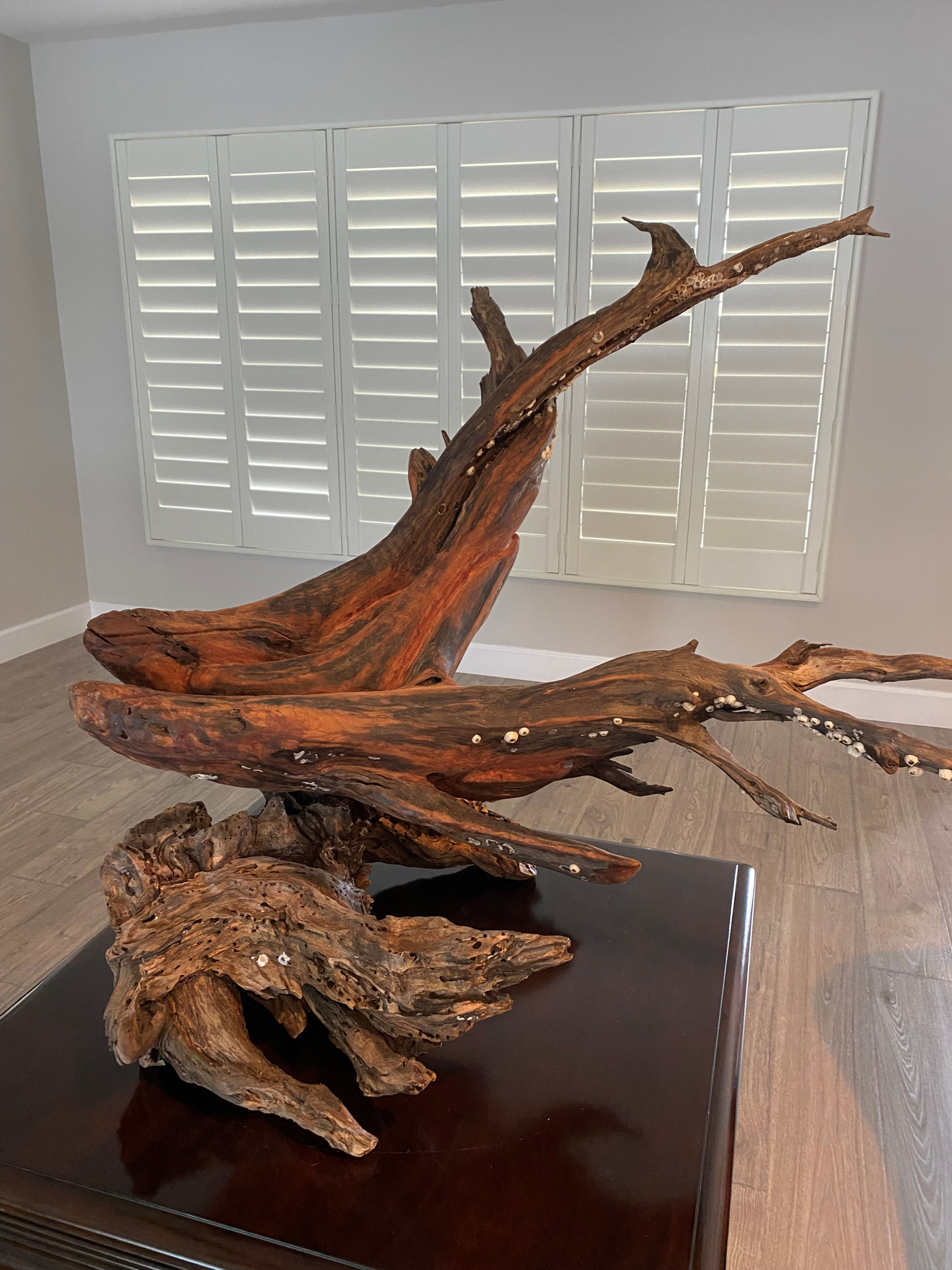 Triple whales on driftwood