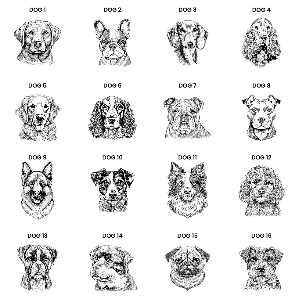 Thumbnail: Dog breed selection guide: sixteen breeds