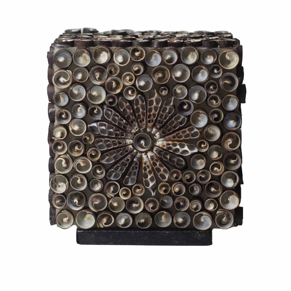 Thumbnail: Boho Sea Shell Lamp - Chocolate Twist Square - 15cm
