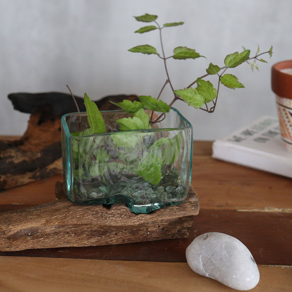 Thumbnail: Molten Glass Tank on Wood with Stand - Small Bowl