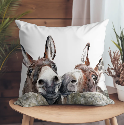 Two donkeys on a cushion