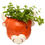 Thumbnail: Decorative Ceramic Indoor Wall Planter/Plant Pot - Highland Coo Cow