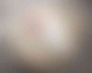 In Home Newborn Photos in Metro Detroit