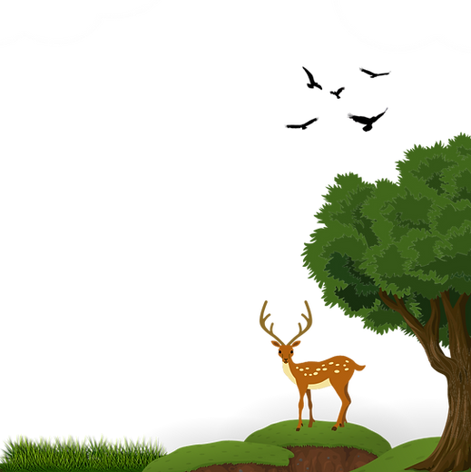 Untitled design (28).png