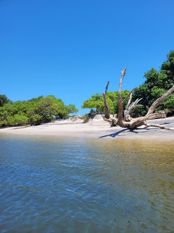 Tritão Passeios Náuticos