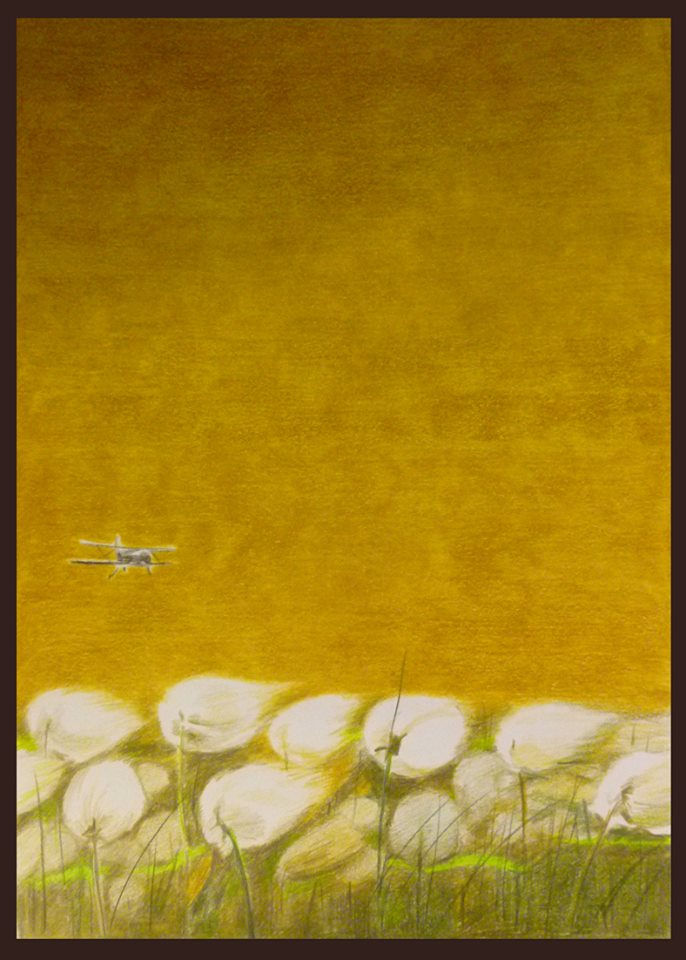 Близнецов Василий. Пушица за аэродромом.jpg