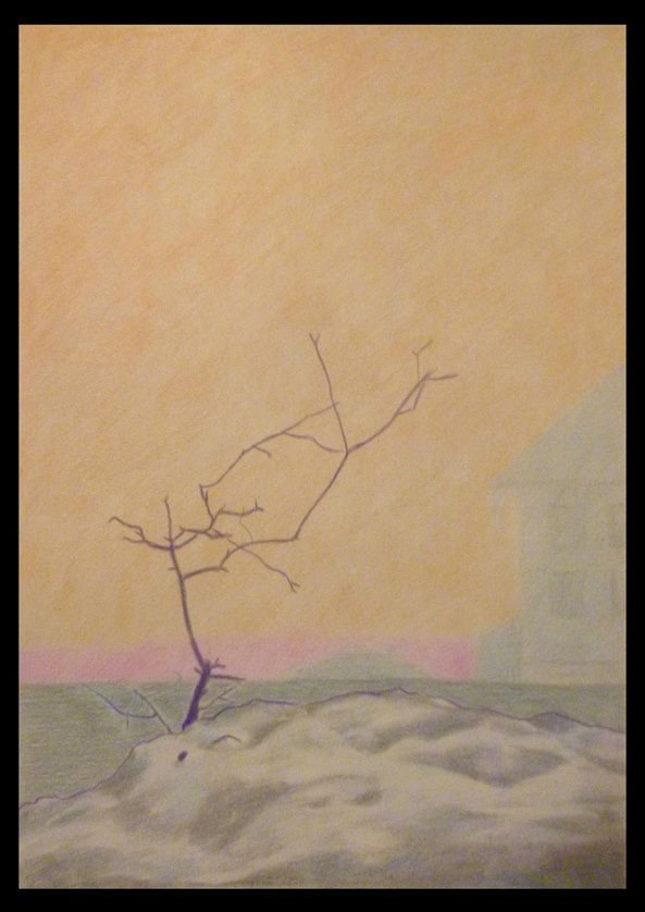 Близнецов Василий. Север. Мороз.jpg