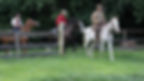 Cowboys heading out for a Raid!