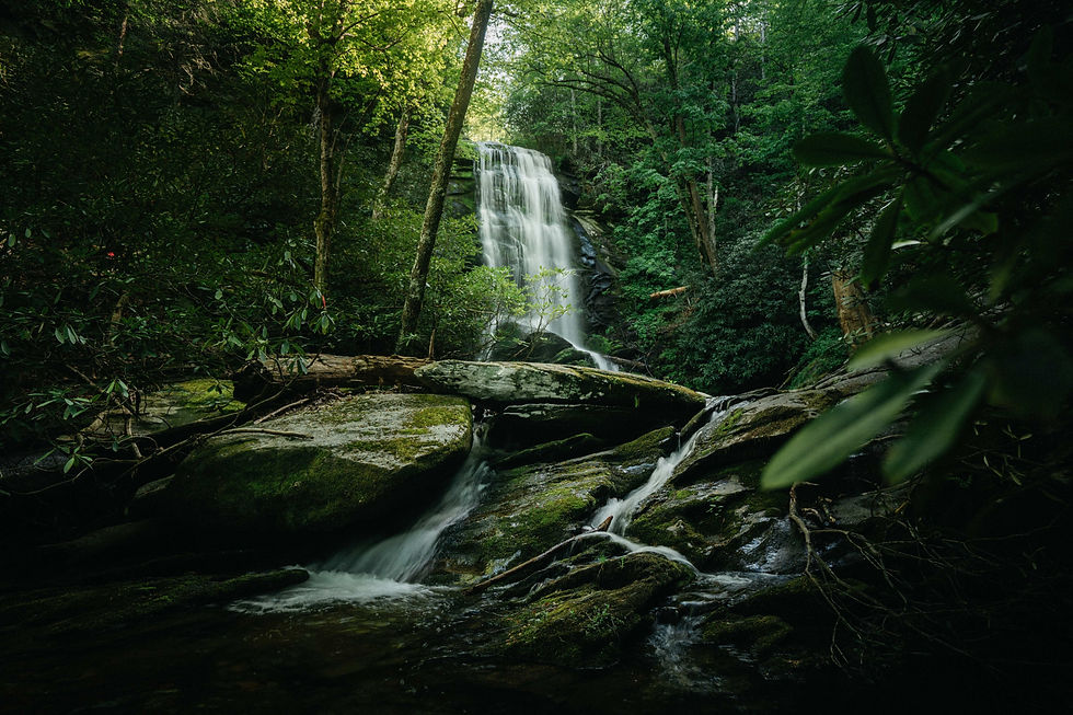 Pre-Race Trail Work at Catawba Falls