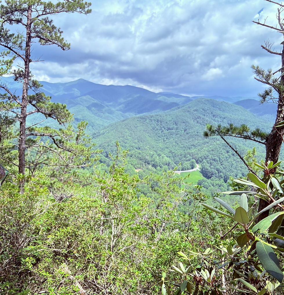 Bernard Mountain Volunteer Trail Day