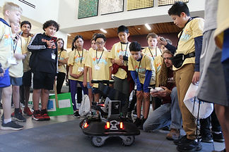 IMG_4775.JPG