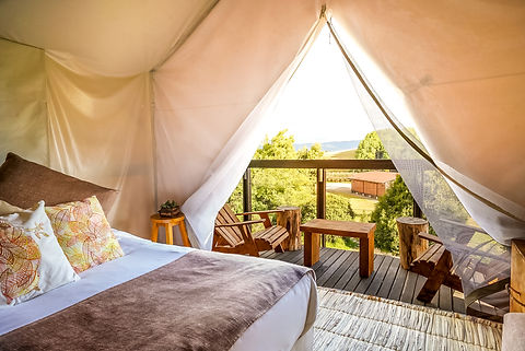 Screen Shot 2018-09-04 at 11.50.34 PM-4.jpg