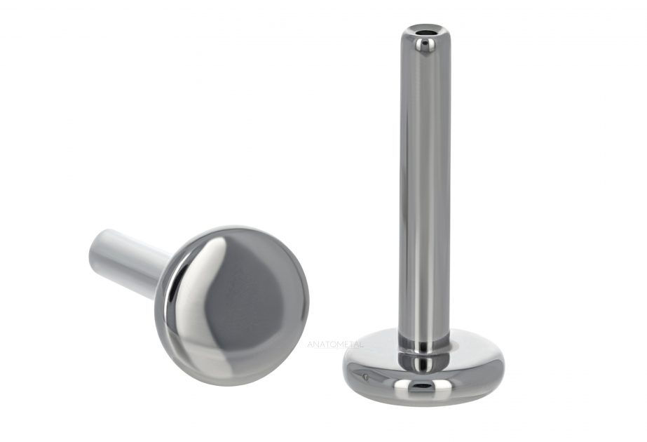 Body Piercing Lynn Loheide Nashville