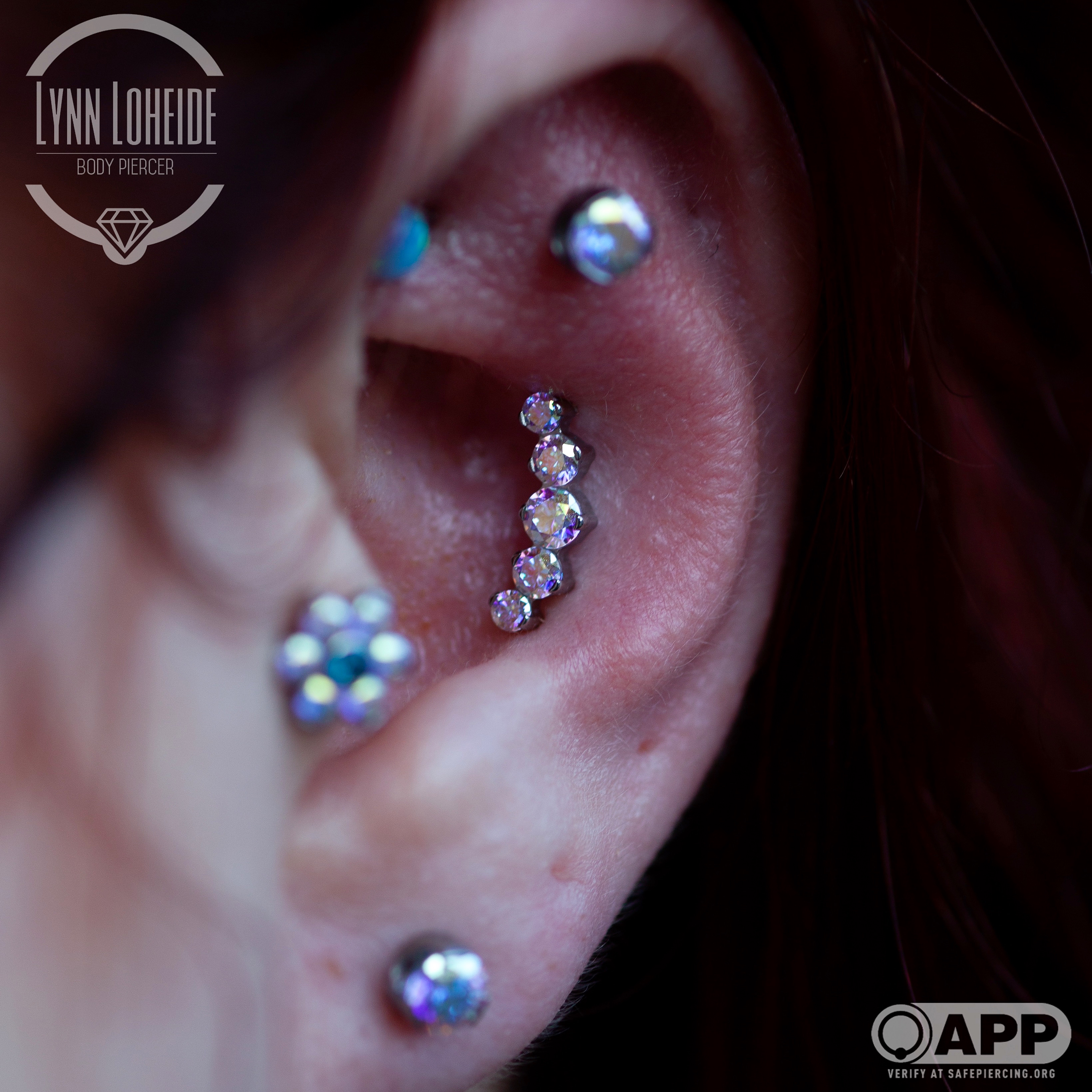 Portfolio Lynn Loheide