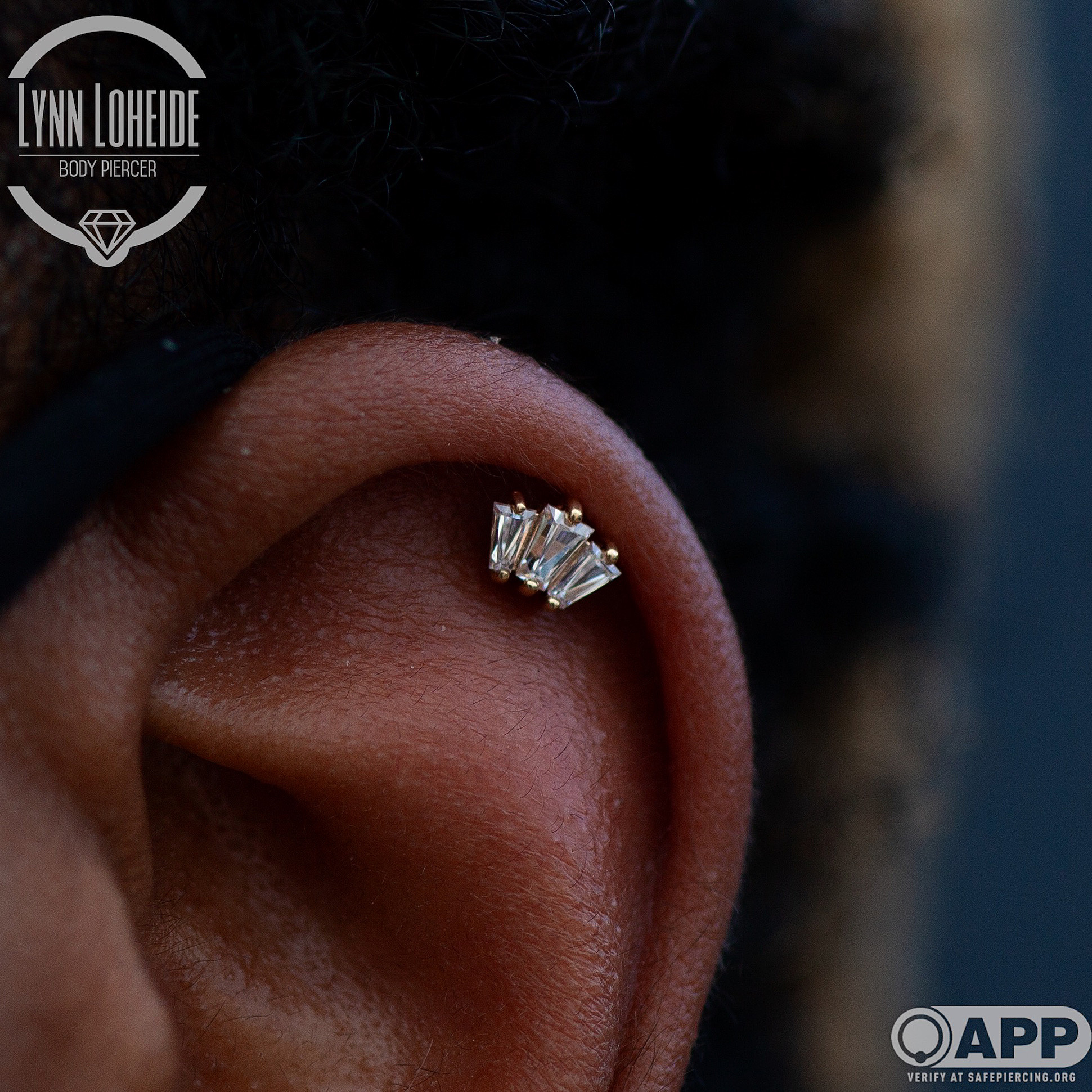 Portfolio Lynn Loheide