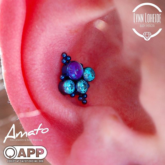 Portfolio Lynn Loheide