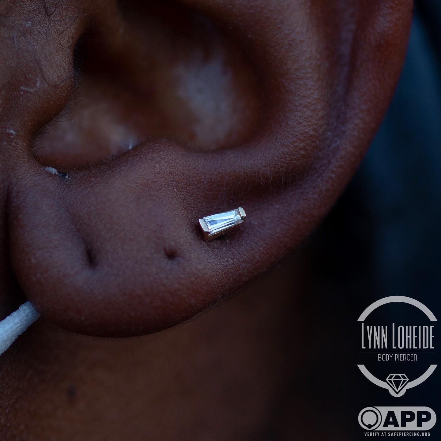 Portfolio Lynn Loheide