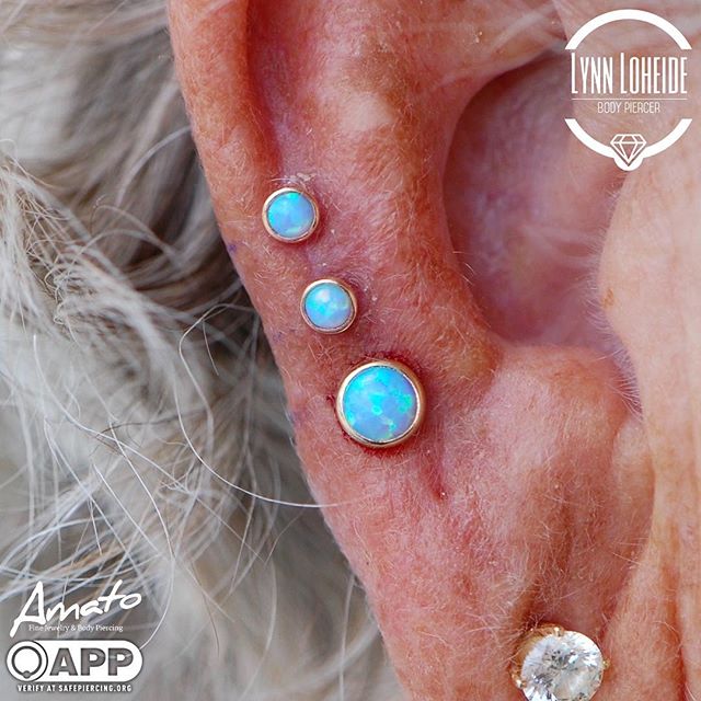 Portfolio Lynn Loheide