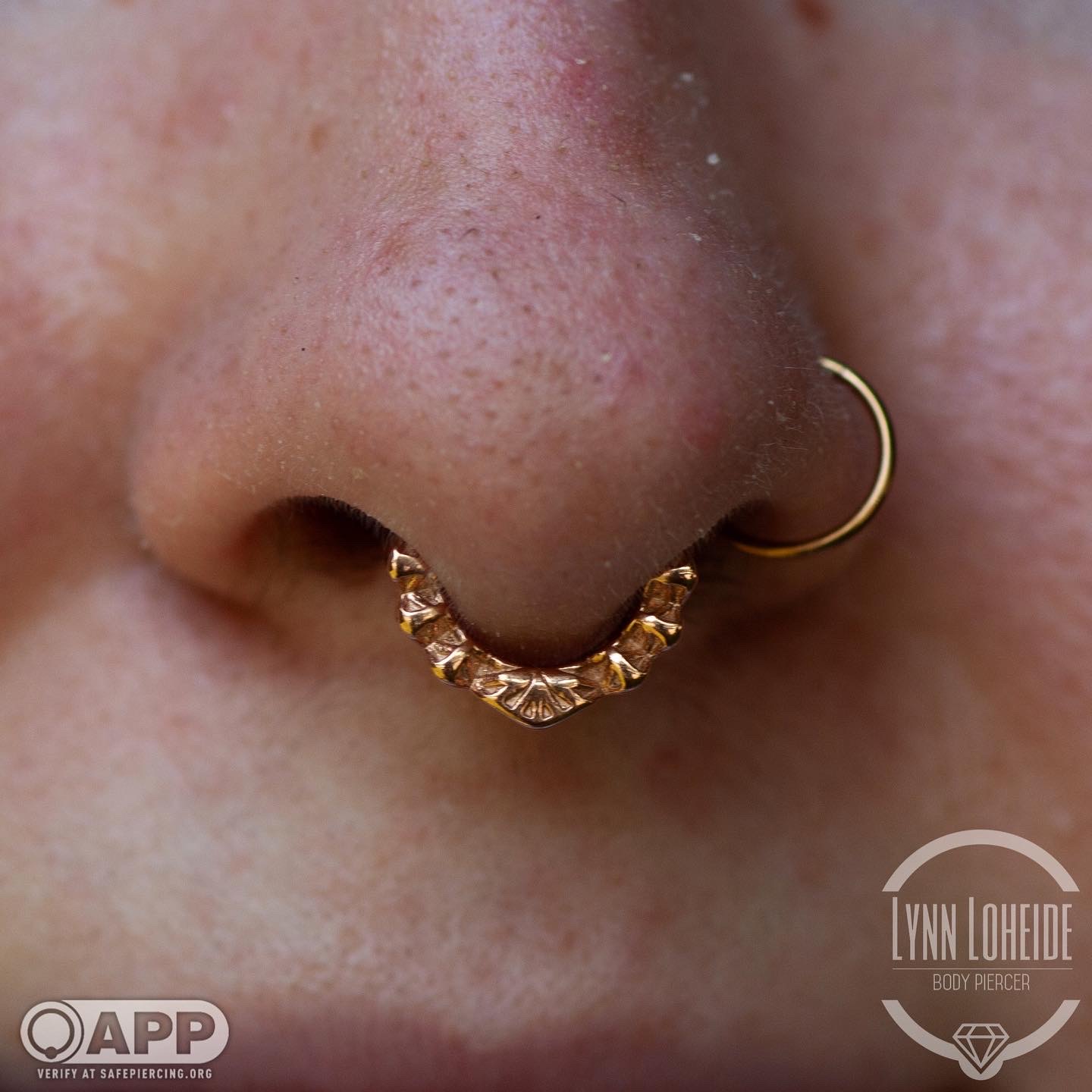 Portfolio Lynn Loheide