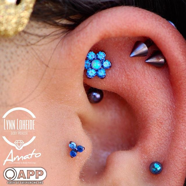 Portfolio Lynn Loheide