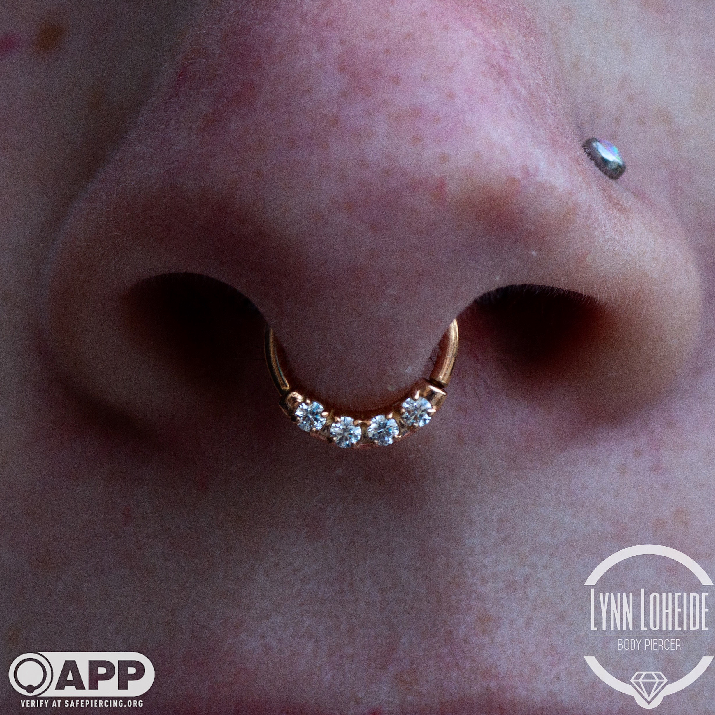 Portfolio Lynn Loheide