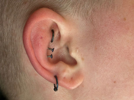 Downsizing- Is It A Hoax? 