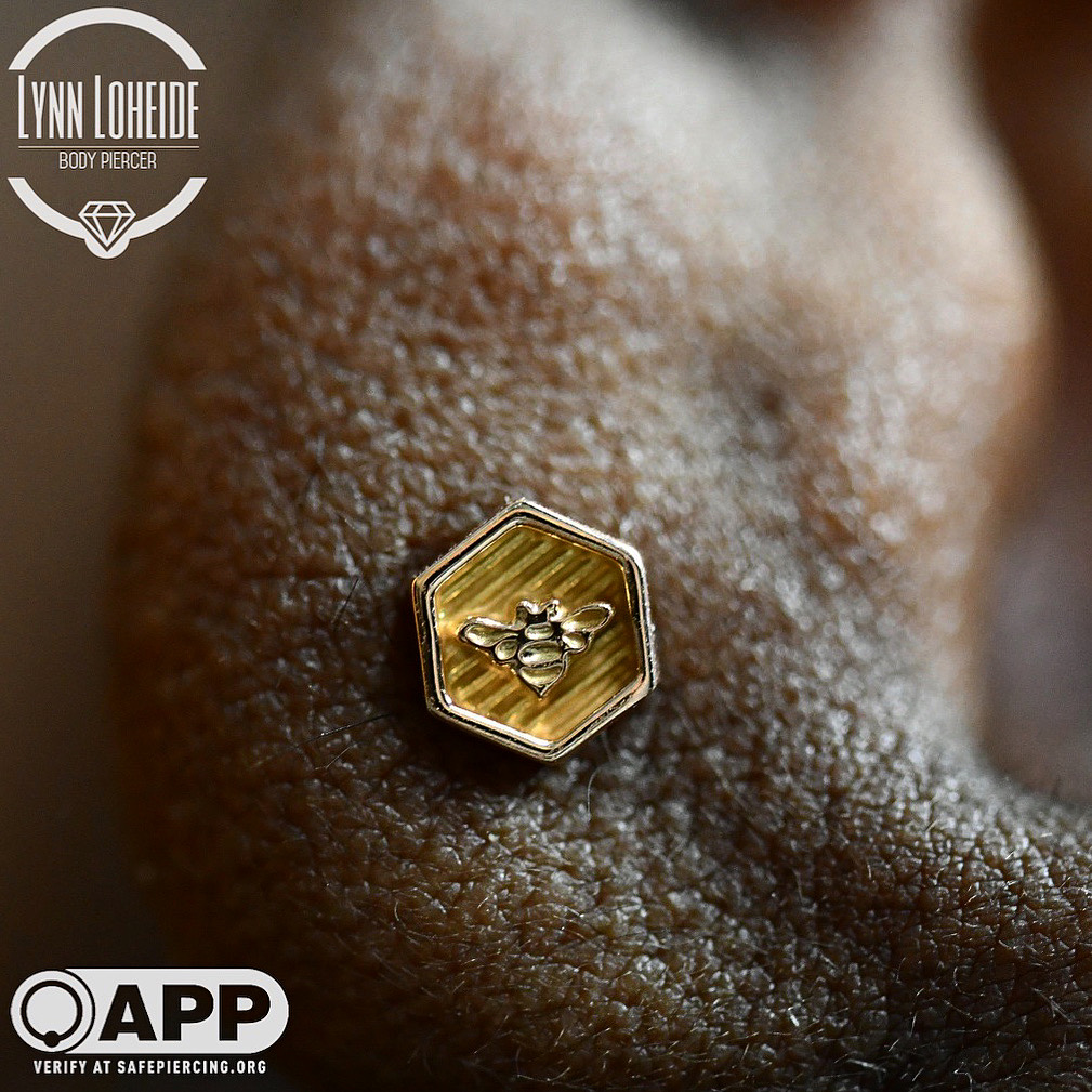 Portfolio Lynn Loheide