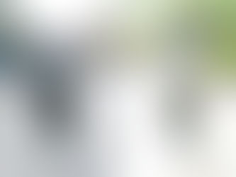 Los personajes icónicos de San Luis Potosí