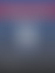 Knowledge Management and Visualization Tools in Support of Discovery