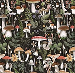 mushroom wallpaper.jpg