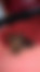 sahiplendirme için kedi ilanlari gösteren ikinci küçük fotoğraf