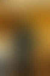 Lifestyle fashion photograph featuring graphic t-shirt and bandana styling