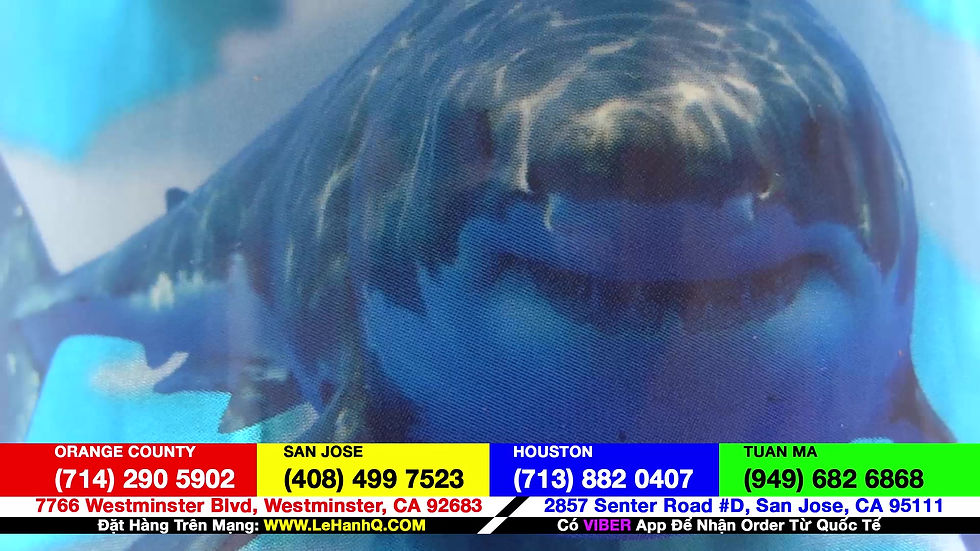 Thumbnail: Shark Cartilage - Sun Ca Map - Sụn Cá Mập