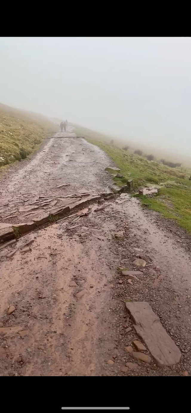 Hiking