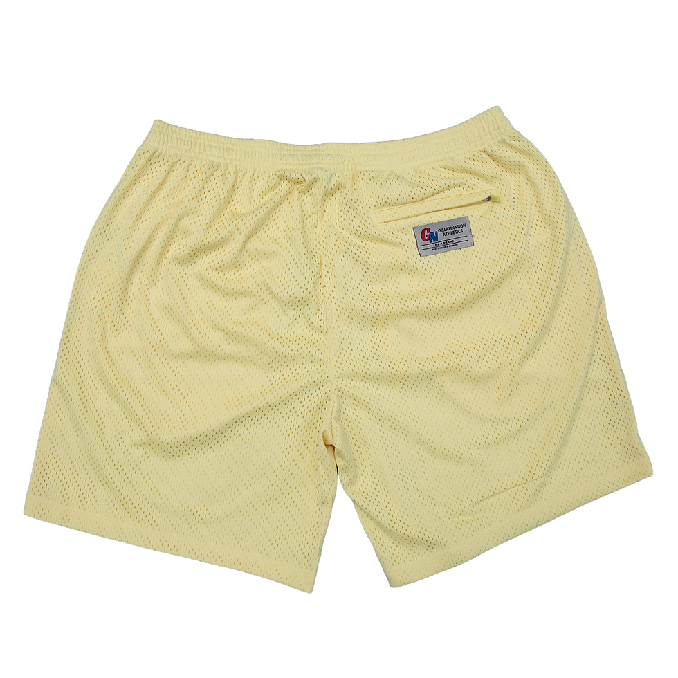 Miniature : GILLAHNATION ATHLETICS MESH SHORTS