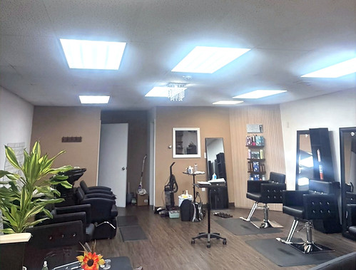 salon 1_edited.jpg