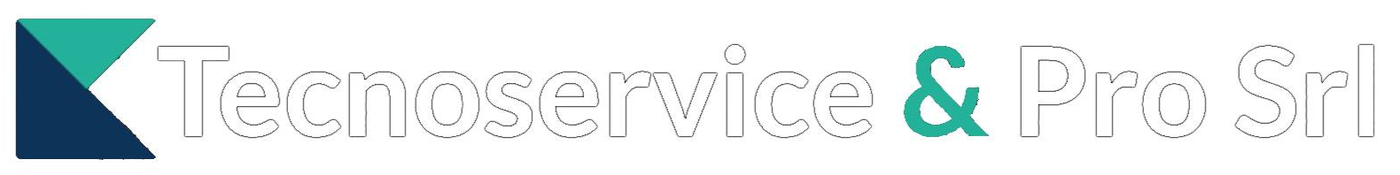 Tecnoservice logo_edited.jpg