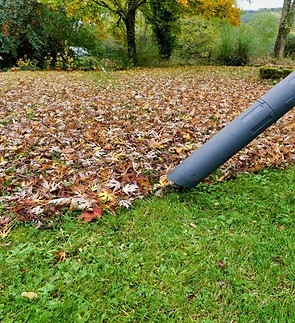 Don't Let Raking Leaves Take Over Your Weekend—15 Tips to Clean Up Leaves Like a Pro.jpeg