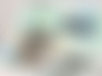 SEP refuerza autenticidad de títulos profesionales.