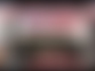 NEPOTISMO Y ALTOS SUELDOS EN AYUNTAMIENTO DE MINATITLÁN: FAMILIARES DE LA ALCALDESA BUSCAN BASIFICARASE CON APOYO SINDICAL.