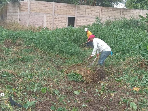 DGAPA realiza labores de limpieza y desazolve en Minatitlán.