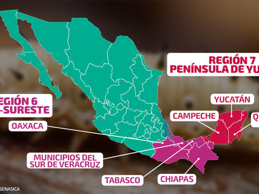 Gusano barrenador prende focos rojos en México: amplían medidas en más estados