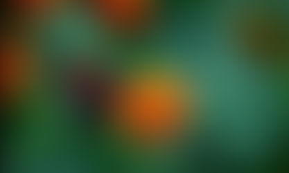 Invita Ayuntamiento al Mercado Ornamental Itinerante